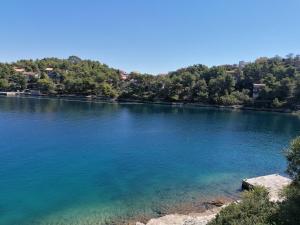 Bella Luxury Apartment