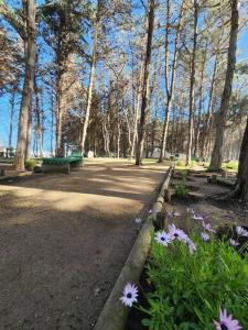 Condominio bosques del tabo,vista al mar