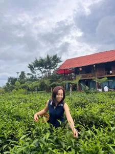 Tea Garden House - Ấp Thiện Lập