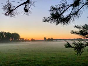 Żurawi Staw- siedlisko obok Augustowa