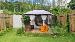 ไวน์แคมป์ WineCamp โดมติดลำธาร