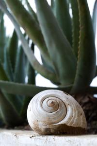 Διαμέρισμα Αριάδνη