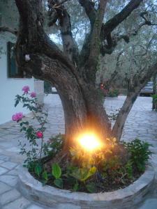 Guesthouse Irene Pelion Greece