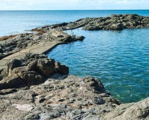 SALTY PALMS -Seaside Studio