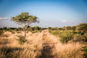 Gabus Safari Lodge