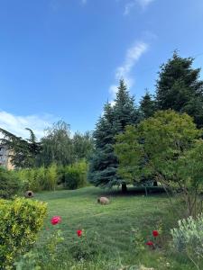 Alazani Valley Hotel