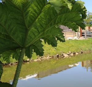 Knapp Farm Glamping Lodge 1