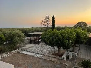 Torre di Maina - Kafióna