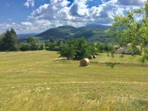 Maisons de vacances la colline seive : photos des chambres