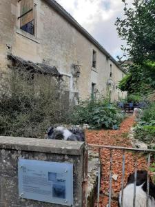 Maisons de vacances Le Fournil de Payre : photos des chambres