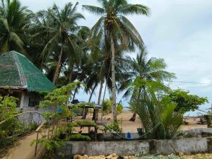 Tiliponan Nipa Hut