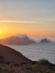 O Fogar Da Galega - Leis