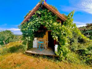 Maisons de vacances la colline seive : photos des chambres