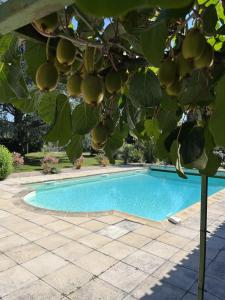 Maisons de vacances Inviting 5-Bed House heated pool Maubourguet : photos des chambres