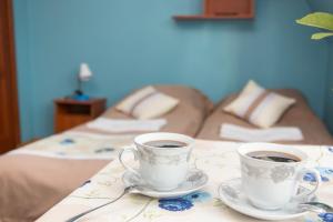 Willa Stachoniówka 2