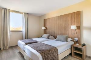 Hotels Best Western Hotel des Barolles - Lyon Sud : Chambre Lits Jumeaux Standard