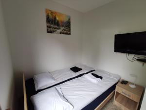 Zlatiborski konaci K16A10