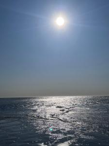 Appartements Appt lumineux - 2 chambres - Mer et commerces : photos des chambres