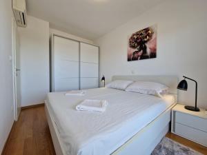 Luxury Penthouse "MANK" with private Parking