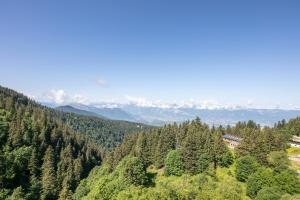 Appartements Le Vernon - Studio vue montagne pres des pistes : photos des chambres