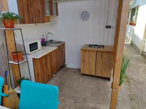 Apartament la curte AnaMaria