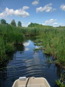 Poilsis Dumblio telmologiniame draustinyje