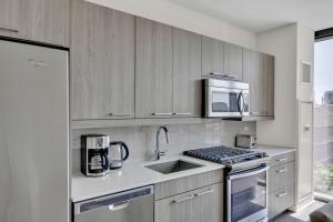 W Loop Studio w Gym WD 3 blocks to L CHI-675