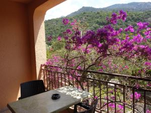 Studio Residence Cabanaccia Studio 35m² by Interhome
