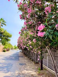 Campings Mobil Home 2CH Bien Equipe Valras-Plage : photos des chambres