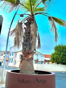 Campings Mobil Home 2CH Bien Equipe Valras-Plage : photos des chambres