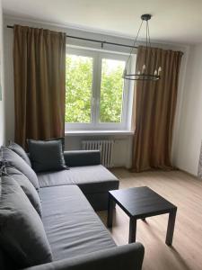 Apartament Kattowitz Sokolska