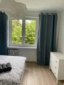 Apartament Kattowitz Sokolska