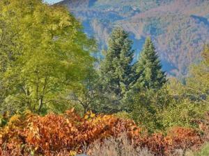 Maisons de vacances Gite La Chabanne, 6 pieces, 12 personnes - FR-1-489-343 : photos des chambres