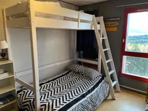 Agréable Studio 3 Places à P2000 Résidence Les Myrtilles - 布齐耶比利牛斯2000