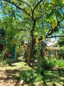 Vila das Acácias - 韦尔卡鲍