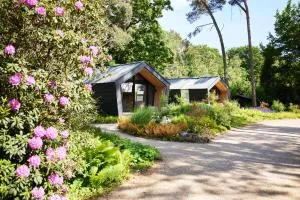 KampinaStaete Diamond Suite - 博克斯特尔