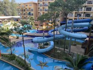 Gold Coast Morib by Tim - Morib