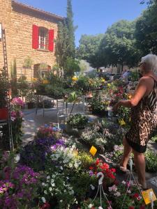 Maisons de vacances La petite maison dans les vignes : photos des chambres