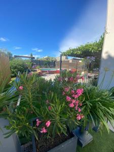 Maisons de vacances La petite maison dans les vignes : photos des chambres