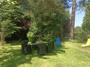 Villa 100 m du Touquet entre forêt et mer - 特里皮尔德