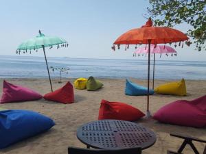 Giường Tầng Trong Phòng Ngủ Tập Thể Cho Nữ  (Bunk Bed in Female Dormitory Room  )