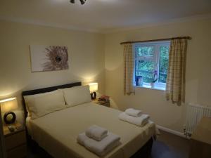 Alpine Park Cottages
