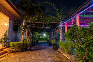 Paradiso Hotels & Resorts