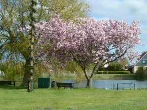 Diekkieker - Solthörn