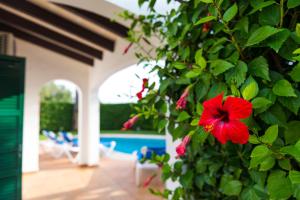 Apartchalet villas Elvira. Villa F