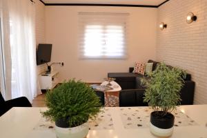 Vintage apartment Helios