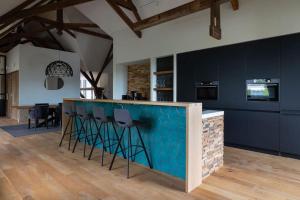 Park Lofts Groningen Penthouse