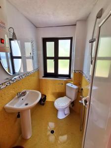 Вила Фани Синеморец