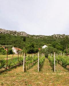 Villas Villa Hameau de Signargues, entre Avignon - Pont du Gard et Uzes - Piscine chauffee et climatisation : Villa avec Piscine Privée