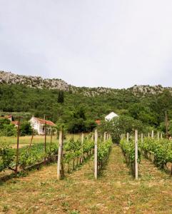 Villas Villa Hameau de Signargues, entre Avignon - Pont du Gard et Uzes : Villa avec Piscine Privée